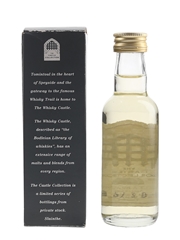 Allt A Bhainne 1979 16 Year Old Bottled 1995 - The Castle Collection 5cl / 43%