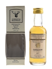 Glenlochy 1977 Bottled 1990s - Connoisseurs Choice 5cl / 40%