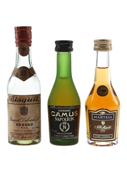 Bisquit 3 Star Cognac, Camus Napoleon & Martell VS