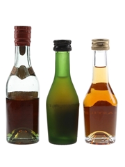 Bisquit 3 Star Cognac, Camus Napoleon & Martell VS Bottled 1940s & 1980s 3 x 3cl-5cl / 40%