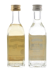 Jose Cuervo Tequila Bottled 1980s-1990s 2 x 5cl / 38%
