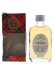 Glen Grant 12 Year Old