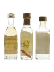 Jose Cuervo Tequila, Lajita Mezcal & Sauza Tequila  3 x 5cl