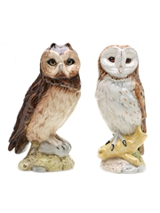 Whyte & Mackay Owl Decanters Royal Doulton 2 x 20cl / 40%