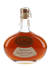 Delamain Cognac Grande Champagne Pale & Dry XO