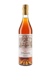 Delamain 1995 Landed 1996, Bottled 2015 - Berry Bros & Rudd Ltd 70cl / 40%