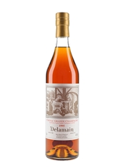 Delamain 1995 Landed 1996, Bottled 2015 - Berry Bros & Rudd Ltd 70cl / 40%