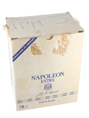 Martell Napoleon Extra Bottled 1980s - Haviland Ceramic Decanter 70cl