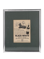 Black & White Scotch Whisky Advertisement