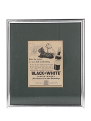 Black & White Scotch Whisky Advertisement