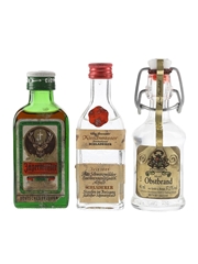 Jagermeister, Kirschwasser & Obstbrand Bottled 1970s & 1980s 3 x 3cl-5cl
