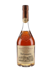 Delamain XO Pale & Dry Bottled 1990s 70cl / 40%