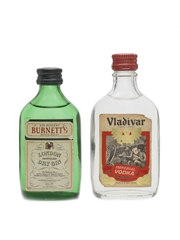 Vladivar Vodka & Burnett's White Satin Gin Miniatures 2 x 5cl