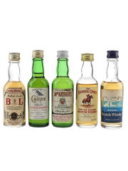 Bulloch Lade's Gold Label, Cairns, MacArthur, Auchentoshan National Choice & QE2