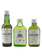 Buchanan's Black & White Bottled 1960s-1970s 3 x 4cl-5cl