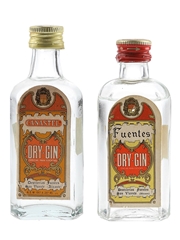 Canastel & Fuentes Dry Gin