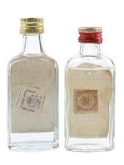 Canastel & Fuentes Dry Gin  2 x 4.5cl-5cl