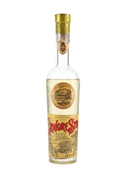 Strega Liqueur