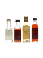 Assorted Rum, Tequila & Mezcal Miniatures Captain Morgan, Lamb's, Lajita 4 x 5cl