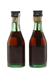 Torres 10 Year Old Grand Reserva Brandy Miniatures 2 x 4.5cl / 40.65%