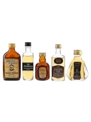 Assorted Blended Scotch Whisky  5 x 4.7cl-5cl