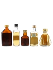 Assorted Blended Scotch Whisky  5 x 4.7cl-5cl
