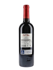 Castillo Ygay Rioja Gran Reserva Especial 2005 Marques De Murrieta 75cl / 14%