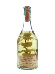 Romano Levi 1985 Grappa di una Donna Selvatica con Erba Assenzio e Menta