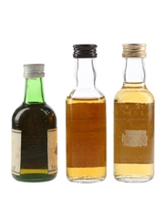 Glen Garioch Bottled 1970s & 1980s 3 x 5cl-5.6cl / 40%