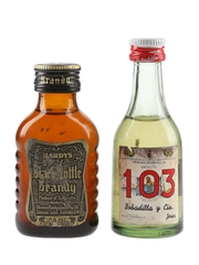 Bobadilla 103 & Hardy's Black Bottle Brandy Bottled 1970s-1980s 2 x 5cl