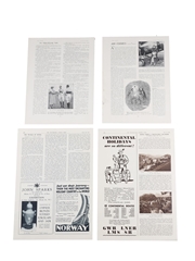 White Horse 1933-1934 Advertising Prints 4 x 36cm x 26cm