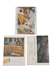 Bacardi Rum 1943 & 1946 Advertising Prints 3 x 36cm x 26cm