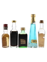 Assorted Liqueurs Liquore Strega, Maraschino, Moroni Marsal'uovo, Nocino Casoni & Casoni Paradise 5 x 2.8cl-5cl