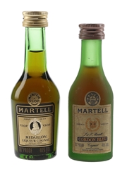 Martell Cordon Bleu & Medaillon Bottled 1970s-1980s 2 x 3cl / 40%