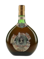 Trianon 1961 VSOP Armagnac  70cl / 40%