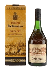 Delamain Pale & Dry Bottled 1980s 70cl / 40%