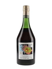 Dupuy Napoleon Reserve Cognac Bottled 1960s 70cl