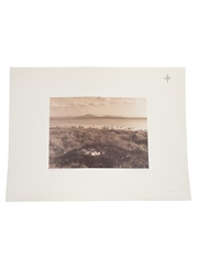 Highland Park Images Of Orkney Print Swan's Nest, Loch Of Stenness - Alastair Peebles 46cm x 34.5cm