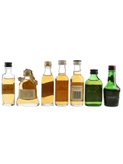 Assorted Blended Scotch Whisky Antiquary, Bell's, Bonnie's 1745, Famous Grouse, Queen Anne & Vat 69 7 x 4.7-5cl