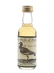 Campbeltown Blended Scotch Whisky The Birds Of Britain - The Oyster Catcher 5cl / 40%