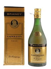 D Campeny Napoleon 12 Year Old VSOP Bottled 1990s - Spain 75cl / 40%
