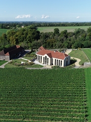A Private Tour & Tasting at Exton Park Vineyard in Hampshire
