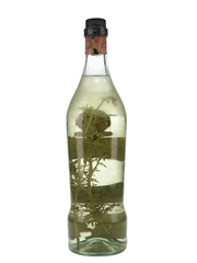 Bocchino Grappa Bottled 1970s 75cl