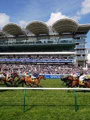 The Jockey Club Premier Experience In The Champions Gallery Restaurant Thursday 20 April 2023 Day 3 - For 2 People