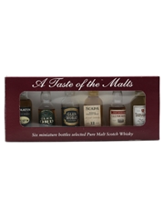 A Taste of The Malts Miniatures Pack Miniature 41%