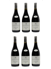 Domaine Terlato & Chapoutier 2008