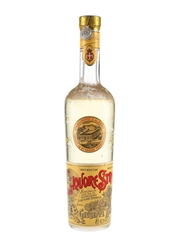 Strega Liquore