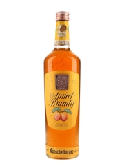 Wunschelburger Apricot Brandy  70cl / 30%