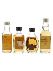 Assorted Blended Scotch Whisky Big T, Dewar's White Label, Dimple & White & Mackay 4 x 5cl