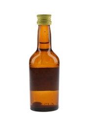 Muipal Mezcal With Worm  5cl / 38%